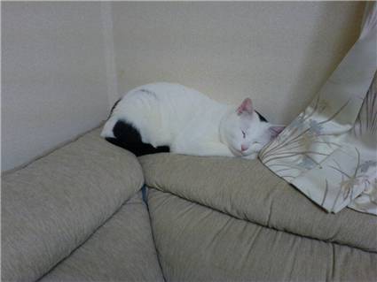 他人家はえぇのぉ～
