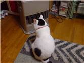 うぅー寒いなぁー
