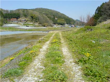2007、GW。。。(2)　春の轍