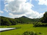 2007、夏休み。。。(1)